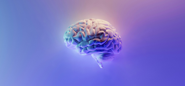 Copie de format LinkedIn 600 x 280 px - 1