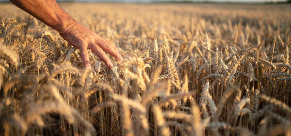 Copie de format LinkedIn 600 x 280 px - 1